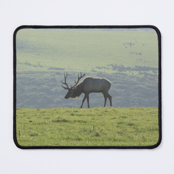 Item preview, Bull Elk in grass designed and sold by Samuel Leavitt.