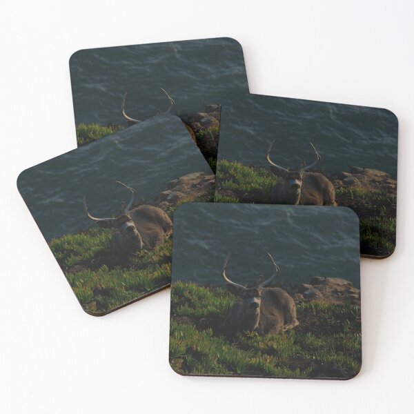 Item preview, Buck at the edge of the Ocean designed and sold by Samuel Leavitt.