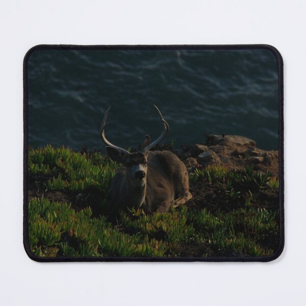 Item preview, Buck at the edge of the Ocean designed and sold by Samuel Leavitt.