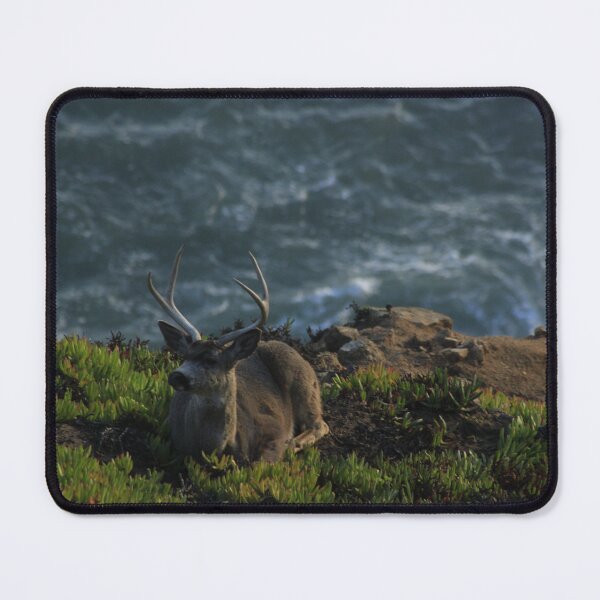 Item preview, Buck on a steep ocean cliff designed and sold by Samuel Leavitt.