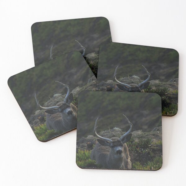 Item preview, Buck designed and sold by Samuel Leavitt.