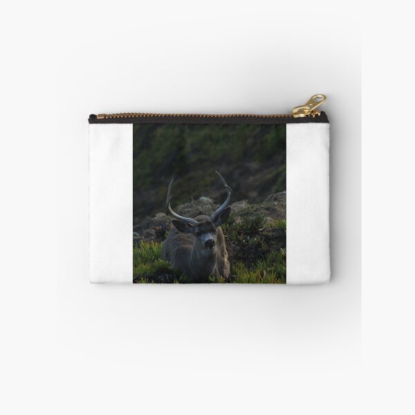 Item preview, Buck designed and sold by Samuel Leavitt.