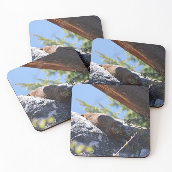 Item preview, Marmot basking in the sun in Tetons designed and sold by Samuel Leavitt.