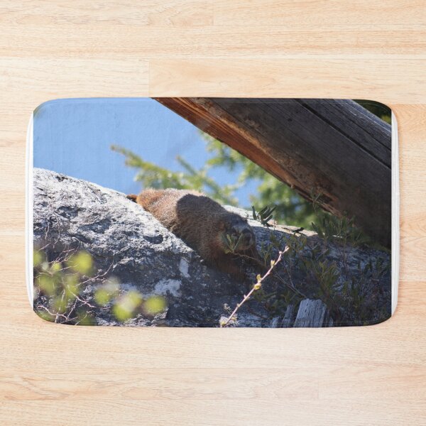 Item preview, Marmot basking in the sun in Tetons designed and sold by Samuel Leavitt.