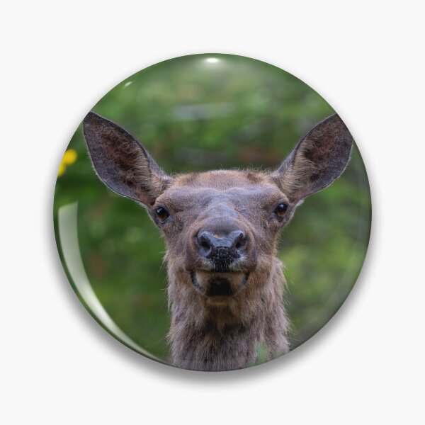 Item preview, Disguised designed and sold by DawsonImages.