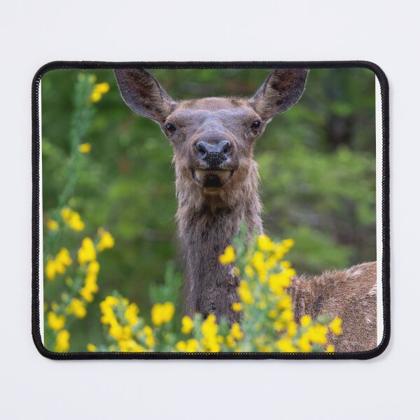 Item preview, Disguised designed and sold by DawsonImages.