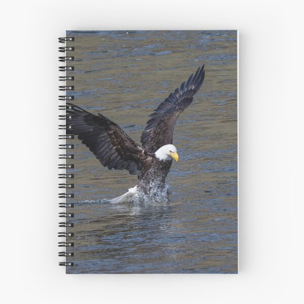Item preview, Splash Landing designed and sold by DawsonImages.