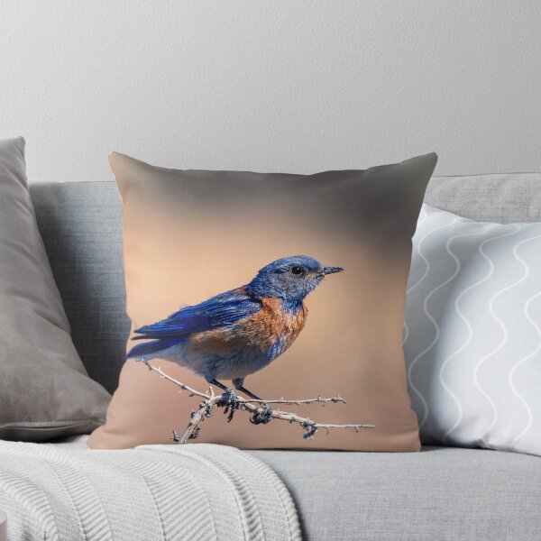 Item preview, Western Bluebird Perch designed and sold by DawsonImages.