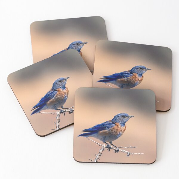Item preview, Western Bluebird Perch designed and sold by DawsonImages.