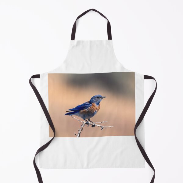 Item preview, Western Bluebird Perch designed and sold by DawsonImages.