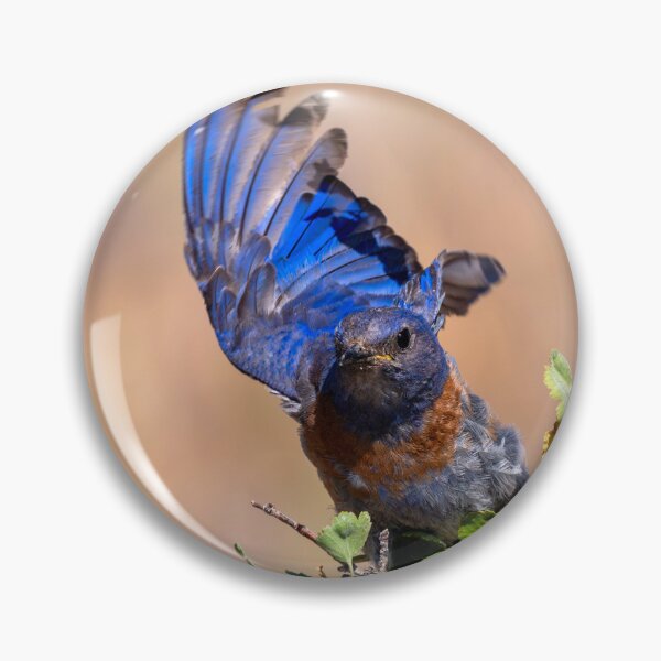 Item preview, Bluebird Berry Meal designed and sold by DawsonImages.