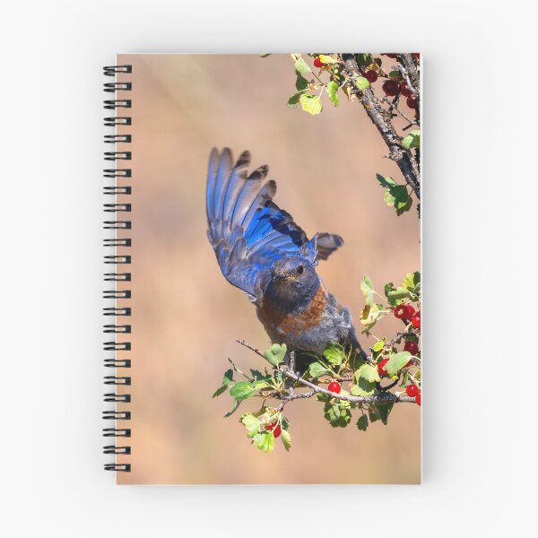 Item preview, Bluebird Berry Meal designed and sold by DawsonImages.
