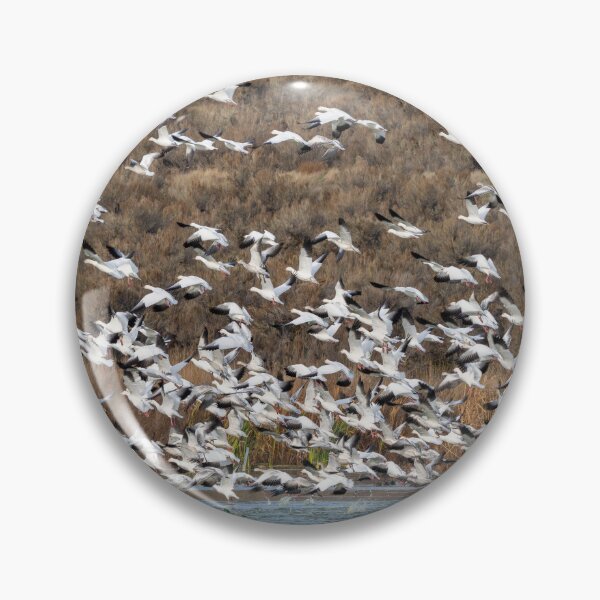 Item preview, Aborted Landing designed and sold by DawsonImages.