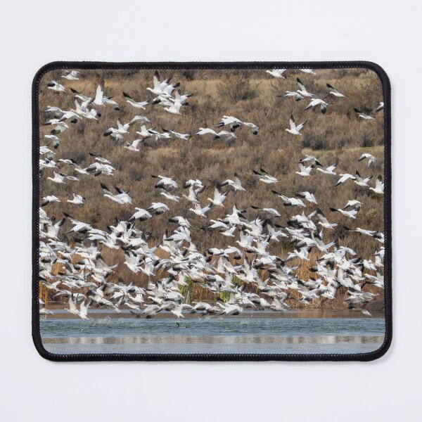 Item preview, Aborted Landing designed and sold by DawsonImages.