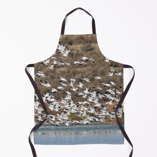 Item preview, Aborted Landing designed and sold by DawsonImages.