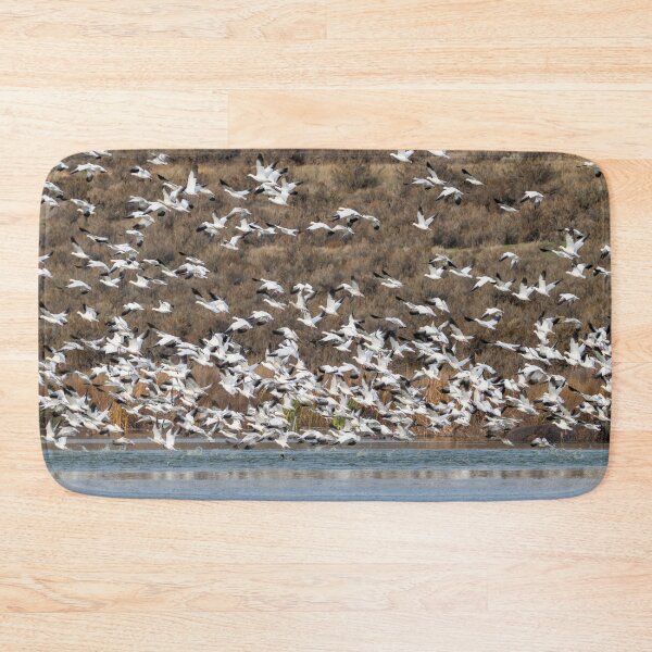 Item preview, Aborted Landing designed and sold by DawsonImages.