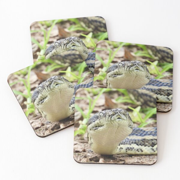 Item preview, Carpet python at Arkarra Lagoons designed and sold by Mark Grimsley.
