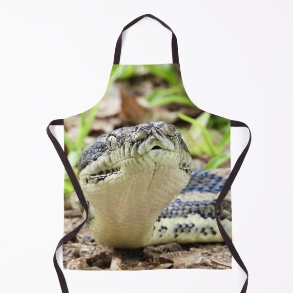 Item preview, Carpet python at Arkarra Lagoons designed and sold by Mark Grimsley.