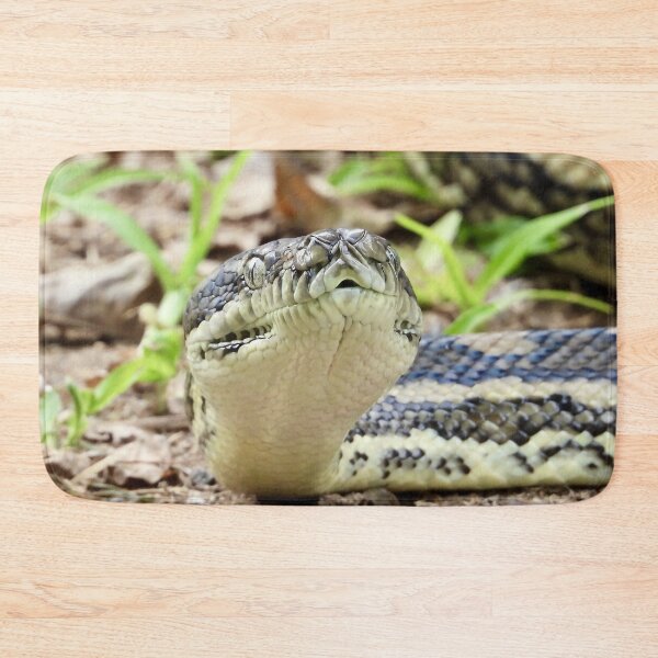 Item preview, Carpet python at Arkarra Lagoons designed and sold by Mark Grimsley.