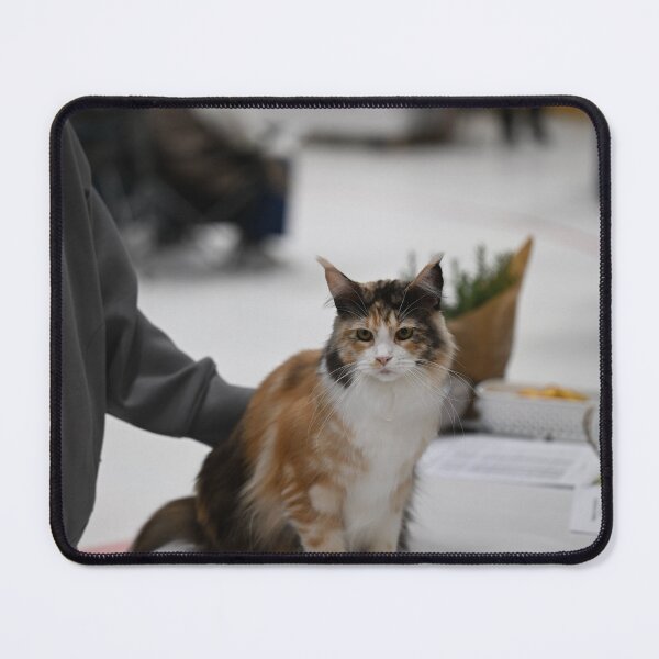 Item preview, Stolt katt på utställningsbord designed and sold by ProSnX.