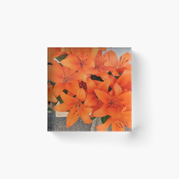 Item preview, A Profusion Of Orange designed and sold by Fara.