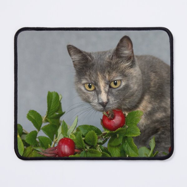 Item preview, Lizzy and Rose Hips designed and sold by BlackGoldenCats.