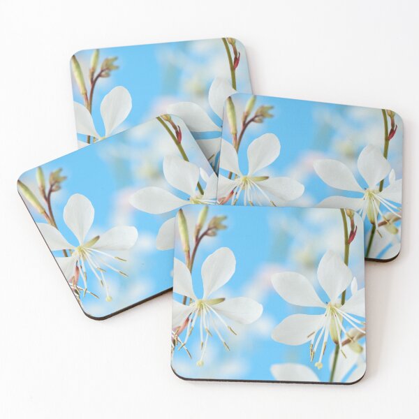 Item preview,  Gaura lindheimeri 'Sparkle White' designed and sold by Chris Burrows.