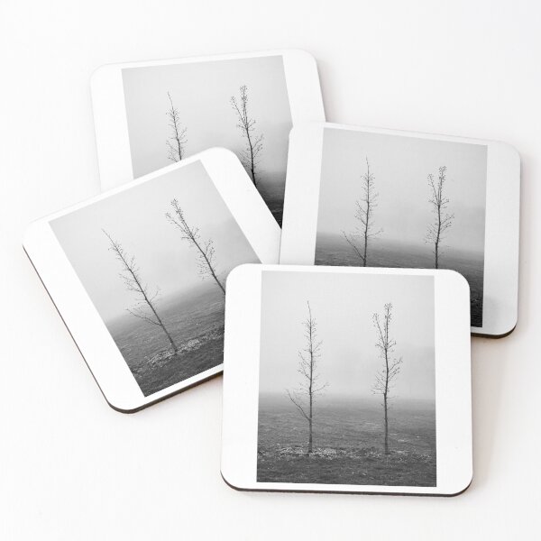 Item preview, Two Leaf Less Trees Black and White Photographic Print designed and sold by Mother-Nature65.