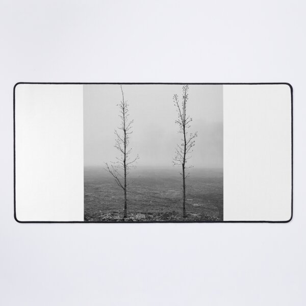 Item preview, Two Leaf Less Trees Black and White Photographic Print designed and sold by Mother-Nature65.