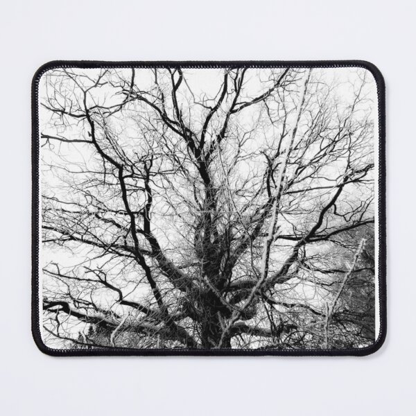 Item preview, Winter Tree Black and White Photographic Print designed and sold by Mother-Nature65.