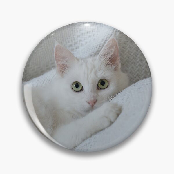 Item preview, White Cat on a Cozy Blanket designed and sold by BlackGoldenCats.