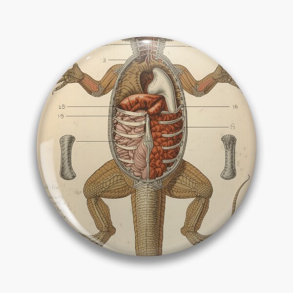 Item preview, SCP-682 Anatomical Plate Victorian Naturalist Illustration designed and sold by PictorialWhimsy.