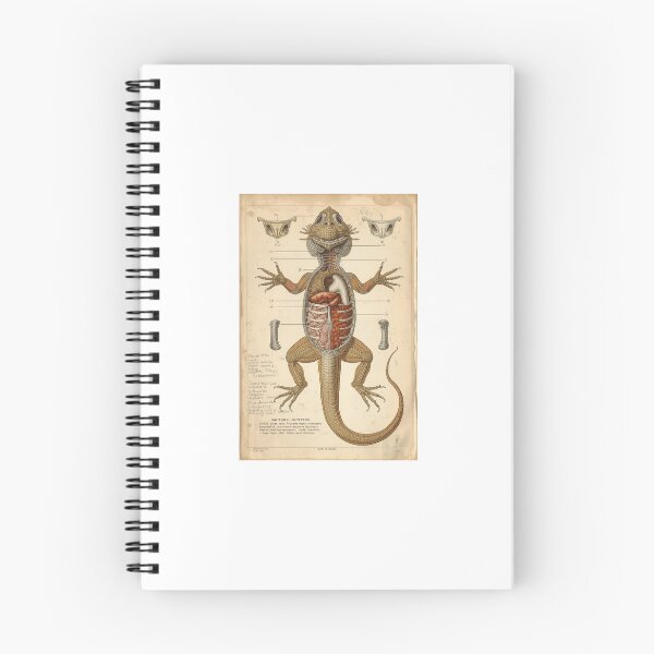 Item preview, SCP-682 Anatomical Plate Victorian Naturalist Illustration designed and sold by PictorialWhimsy.