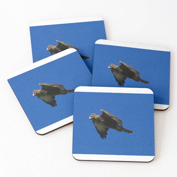 Item preview, Bird of prey  designed and sold by Ribster13.