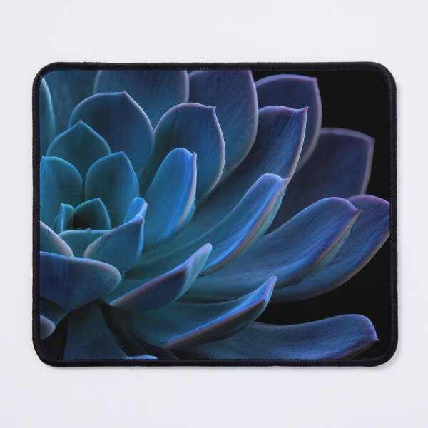 Item preview, Succulent glowing blue designed and sold by anytka.