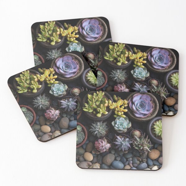 Item preview, Colorful succulents arranged in pots designed and sold by anytka.