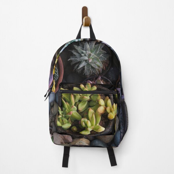 Item preview, Colorful succulents arranged in pots designed and sold by anytka.