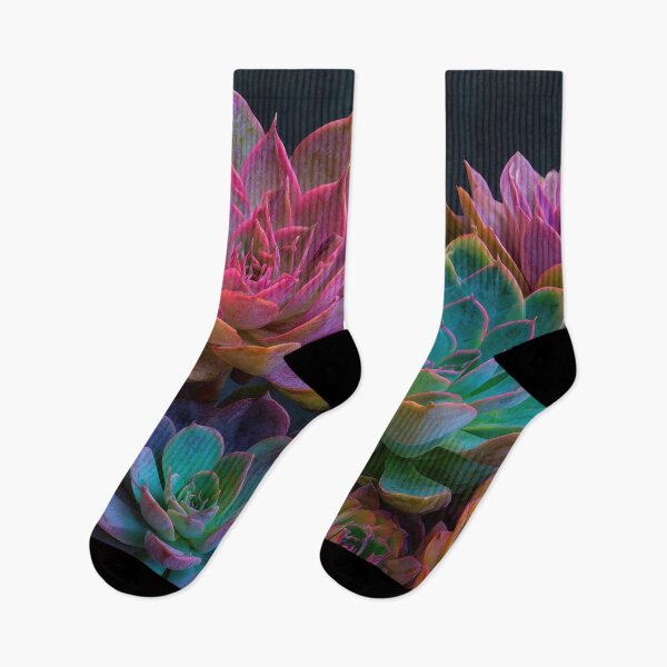 Item preview, Vibrant colorful succulents designed and sold by anytka.