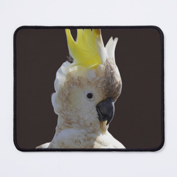 Item preview, Nothing to be Ashamed Of designed and sold by Annalucia.