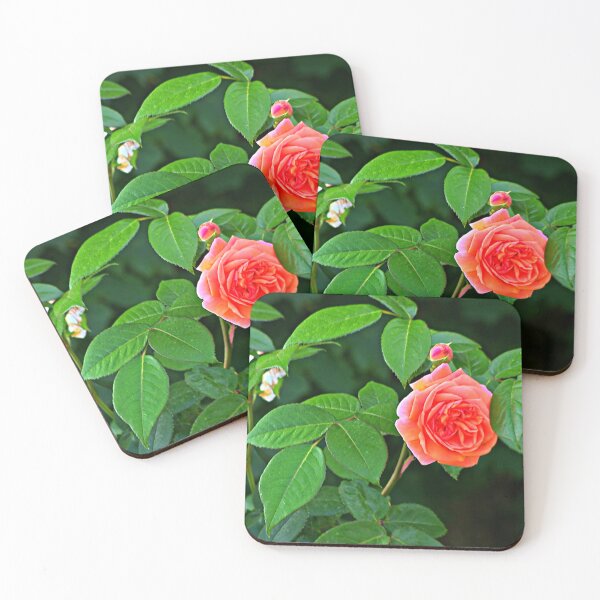 Item preview, Rose and thorn - an irresistible combination designed and sold by DjeriK.