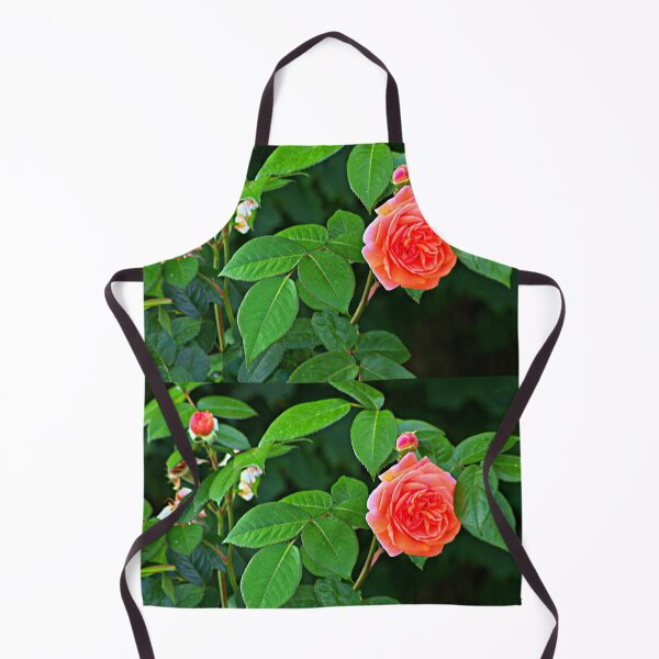 Item preview, Rose and thorn - an irresistible combination designed and sold by DjeriK.