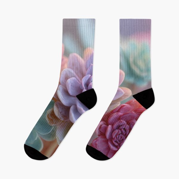 Item preview, Colorful succulents in soft light designed and sold by anytka.