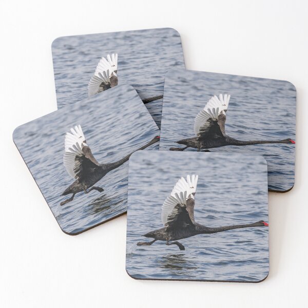 Item preview, Run.... Black Swan, run.... designed and sold by Jan Fijolek.