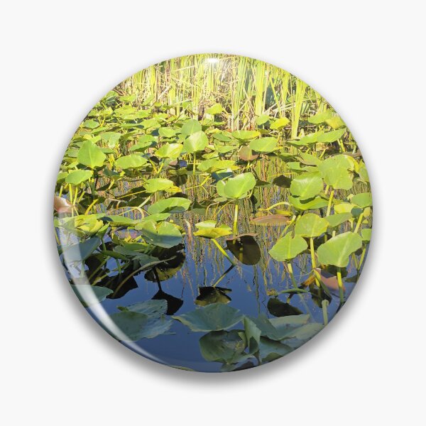 Item preview, Everglades beauty  designed and sold by Shoppinmammaj.