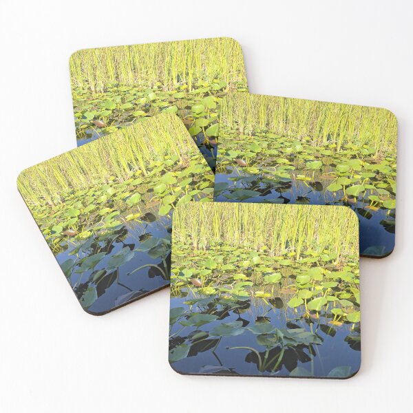 Item preview, Everglades beauty  designed and sold by Shoppinmammaj.