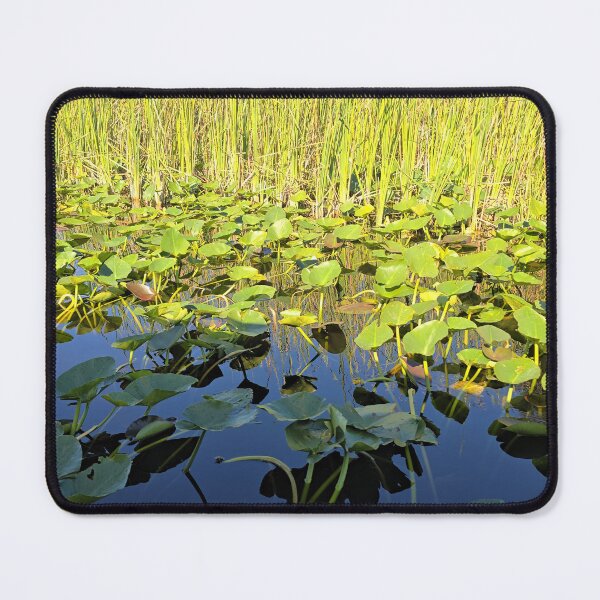 Item preview, Everglades beauty  designed and sold by Shoppinmammaj.