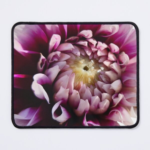 Item preview, Purple white dahlia flower designed and sold by pixperienz4u.