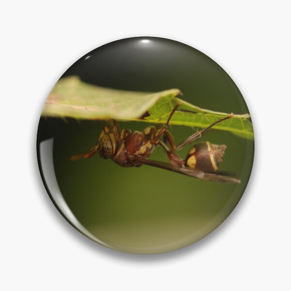 Item preview, A Sleeping Paper Wasp designed and sold by Wild-shms.