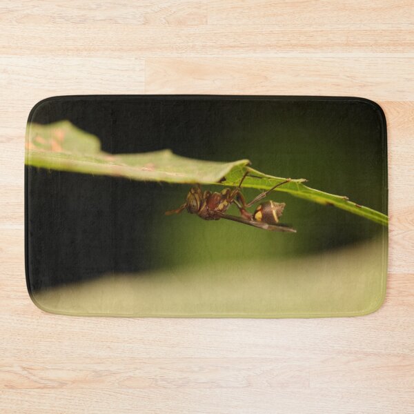 Item preview, A Sleeping Paper Wasp designed and sold by Wild-shms.