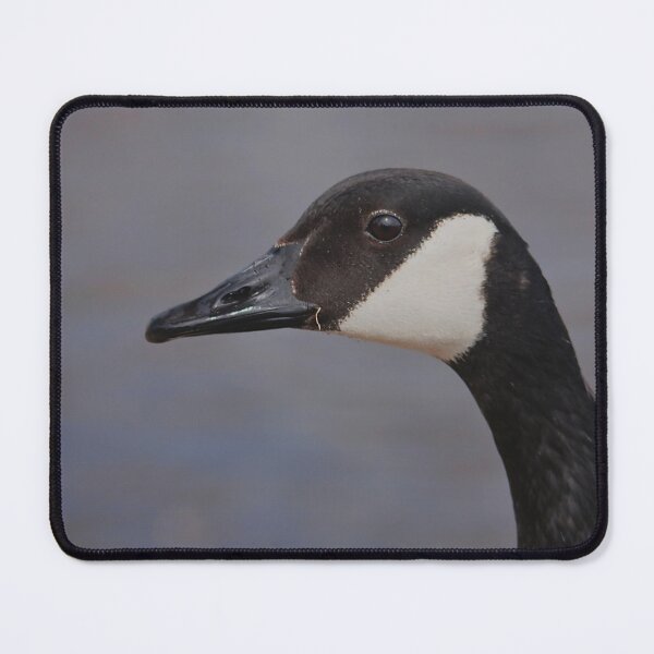 Item preview, Canada Goose (portrait) designed and sold by Production Art Manon Meilleur.